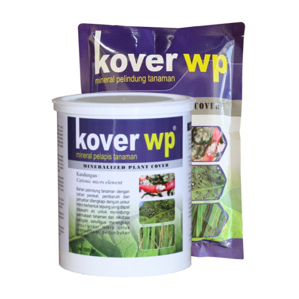 KOVER WP